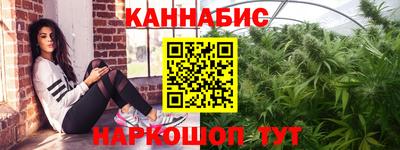 СК Новозыбков