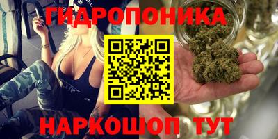 СК Новозыбков