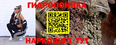 СК Новозыбков