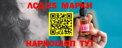 СК Новозыбков