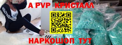 СК Новозыбков